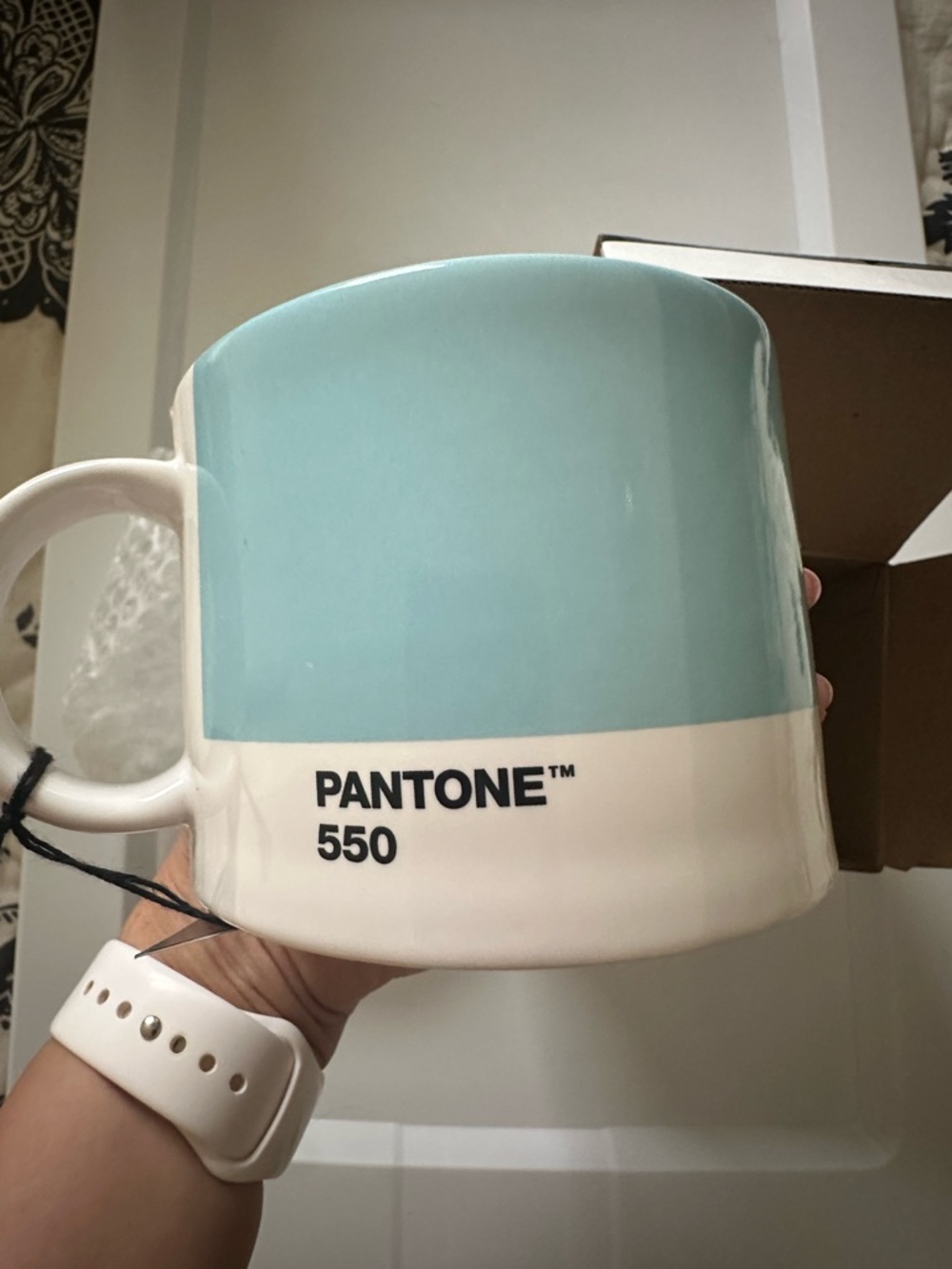 Pantone 550 Ceramic Color-Block Mug - Pale Aqua